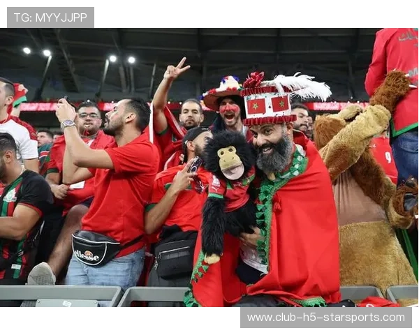 解析2026世界杯的安保挑战:跨国联合执法的法律与执行难题。,卡塔尔世界杯安保